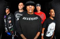 image of Hed Pe